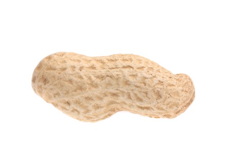 Peanut isolated on white background close upの写真素材