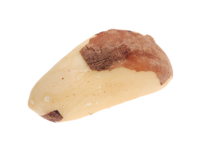Bertholletia. Brazil nuts isolated on the white background close up