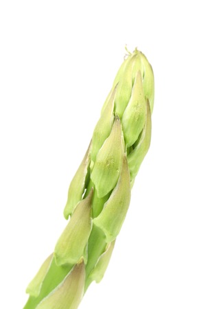Close up of asparagus. Isolated on a white background.の写真素材