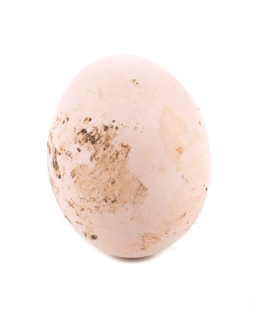 homemade egg on a white background