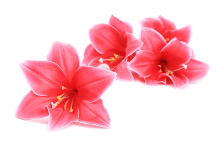Four artificial flowers. Isolated on a white.の写真素材