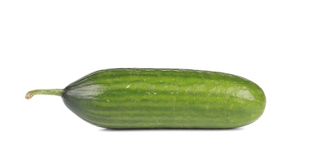 close up of cucumber. isolated on a white backgroundの写真素材