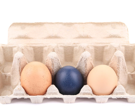 Eggs and egg carton. Isolated on a white background.