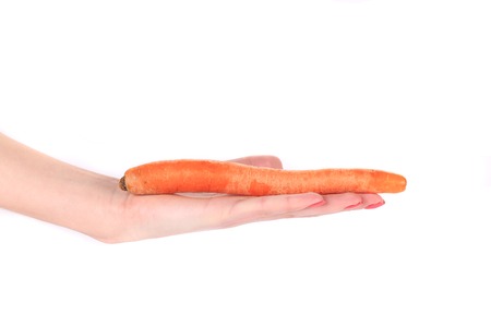 Women's hand holds fresh carrot. の写真素材