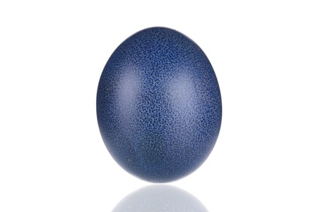 Dark blue easter egg. の写真素材