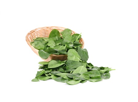 Young spinach in a wicker basket. Isolated on a white background.の写真素材
