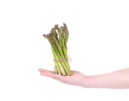 Bunch of fresh asparagus in hand. Isolated on a white background.の写真素材