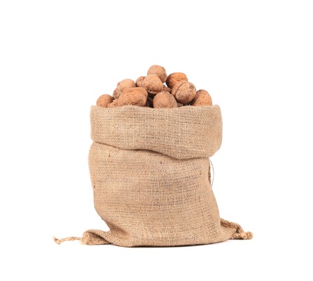 Burlap bag with walnuts. Isolated on a white background.の写真素材