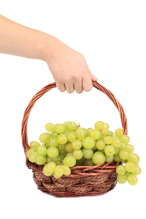 Hand holds white grapes in basket. の写真素材