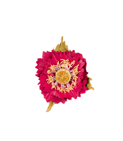 Artificial red flower of silk. Isolated on a white background.の写真素材