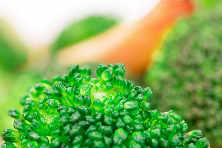 Background of fresh broccoli. Macro. Whole background.