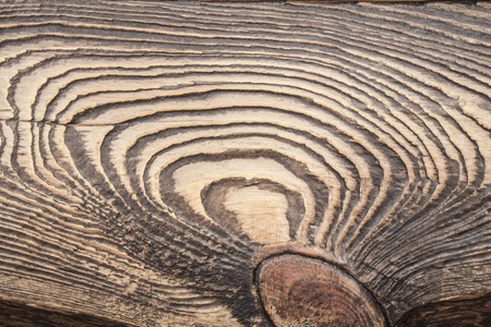 Texture of wood. Close up. Whole background.の写真素材