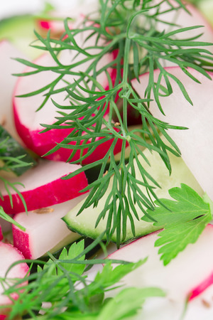 Closeup of tasty radish salad with cucumber.の写真素材