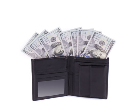 Purse with dollar bills. 