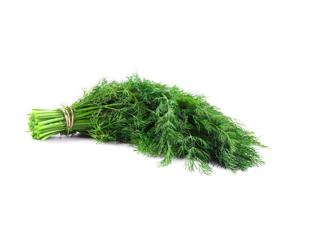 Bunch of fresh dill. Isolated on the white background.の写真素材