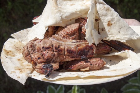 Grilled meat on pita. Close up. Green background.の写真素材