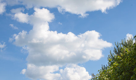 Clouds on the blue sky. Located in the foreground trees.