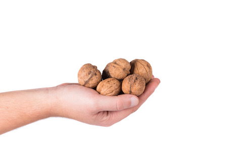 Bunch of walnuts in hands. Isolated on a white background.の写真素材