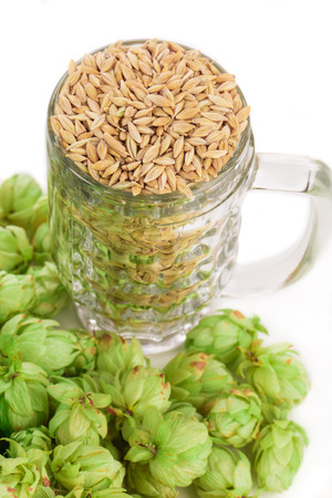 mug with barley and hop. Isolated on a white background.の写真素材