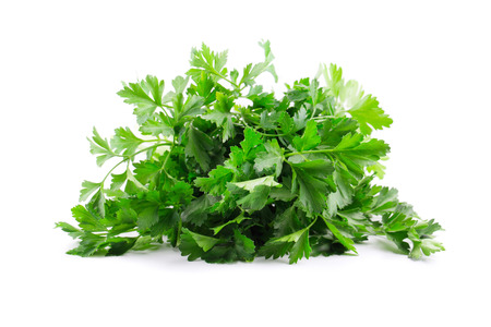 parsley isolated on white background in closeupの写真素材