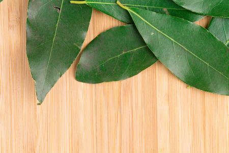 Fresh bay leaves on a cutting board.の写真素材
