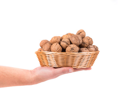 Hand hold walnuts in a wicker basket on a white backgroundの写真素材