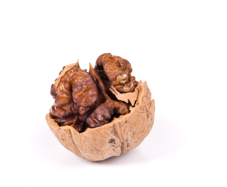 Close up of walnut. Isolated on a white background.
