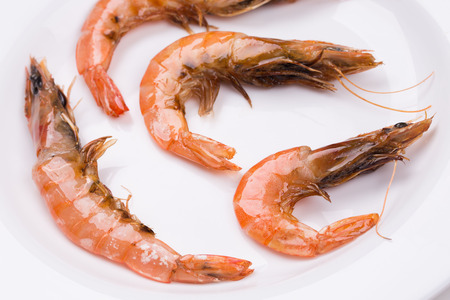 Close up of fresh boiled shrimps. Isolated on white background.の写真素材