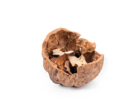 Cracked walnut. Isolated on a white background.