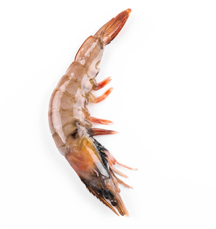 Close up of fresh shrimp. Isolated on a white background.の写真素材
