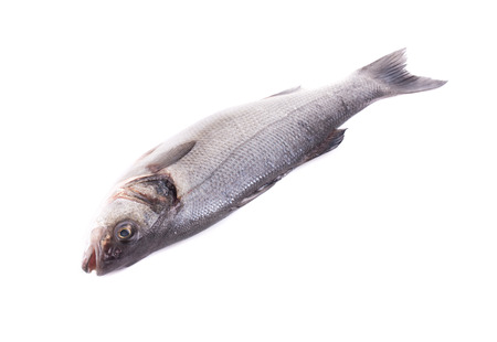 Close up of fresh seabass fish. Isolated on a white background.の写真素材