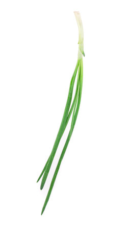 Beautiful spring onions. Isolated on a white background.の写真素材