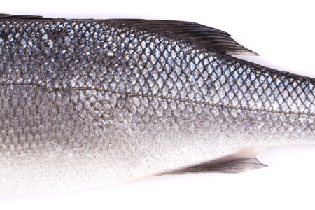 Close up of seabass scale texture. Whole background.の写真素材