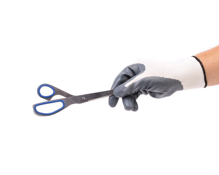 Hand holding scissors. Located on a white background.