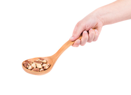 Wooden spoon with brazil nuts. Isolated on a white background..の写真素材