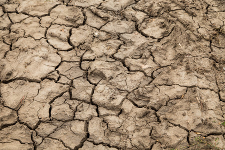Dry cracked earth. Close up on the whole background.