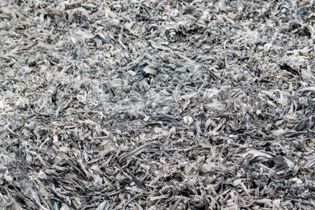 Gray ashの写真素材