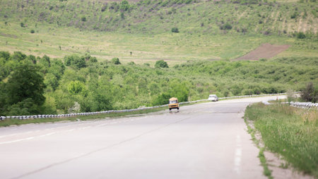 Empty curved road and trees as a background