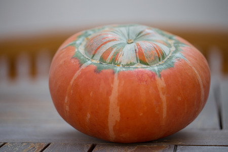 Pumpkin on rural landscape background in the closeupの写真素材