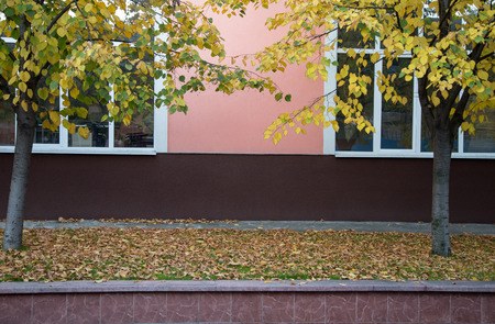 Building facade with two white windows and trees in front of themの写真素材