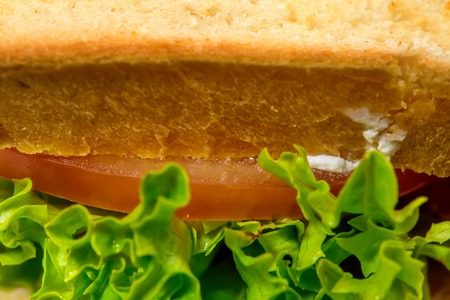 Traditional sandwich with french fries. Can be used as a background.の写真素材