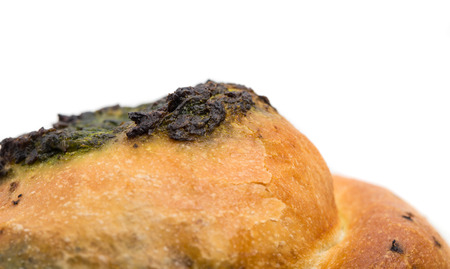 Closeup of delicious spinach cake as a balkan kitchen. Macro. Can be used as a whole background.の写真素材