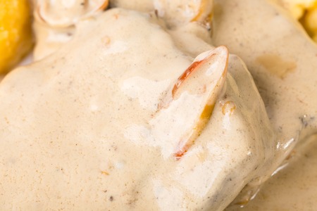 Grilled meat covered with mushroom sauce. Macro. Can be used as a whole.の写真素材