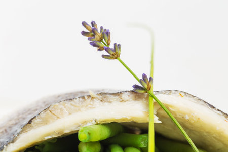 Baked fish fillet with cream sauce and boiled french beans. Macro. Photo can be used as a whole...