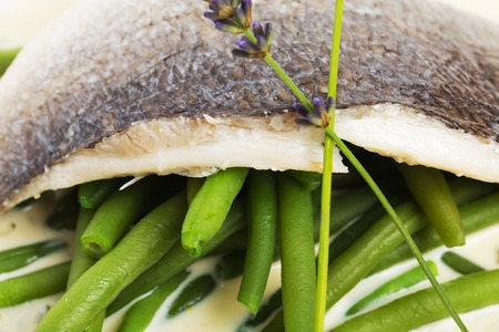 Baked fish fillet with cream sauce and boiled french beans. Macro. Photo can be used as a whole background.の写真素材