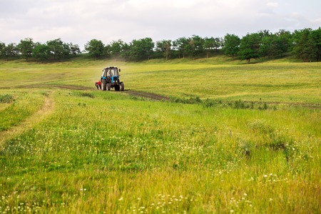 Blue tractor in the field at nice sunny day in july. Photo can be used as a whole background.の写真素材