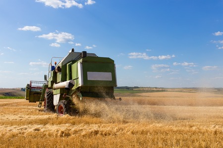Combine harvester working on a wheat field at summer day.の写真素材