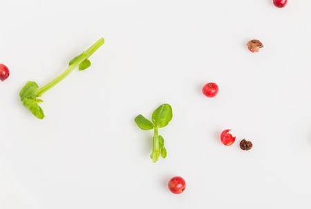 Closeup of fresh herb and red pepper peas on plate. Macro. Photo can be used as a whole background.の写真素材