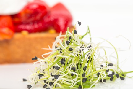 Fresh microgreen sprouts with italian bruschetta. Macro. Photo can be used as a whole background.の写真素材