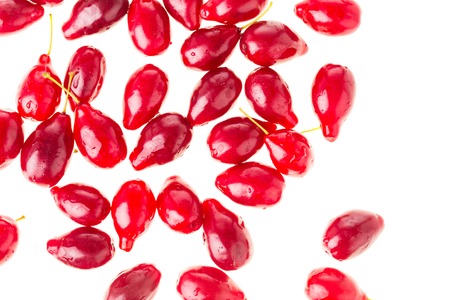 Ripe red dogwood berries closeup. Isolated on a white background.の写真素材